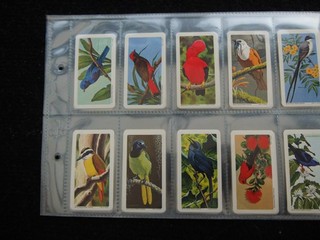 ONE COMPLETE SET BROOKE BOND CANADA TEA CARDS TROPICAL BIRDS