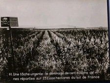 WW2 Liberation The Mining Task Press Photo