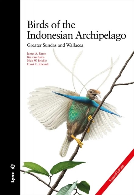 Birds Of The Indonesian Archipelago