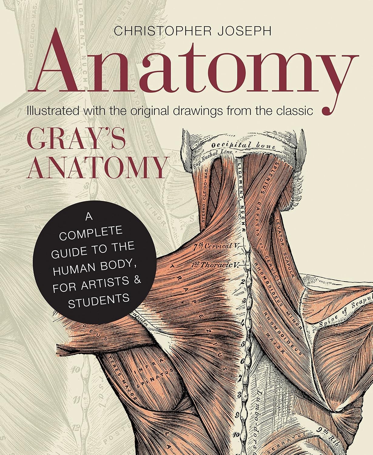 Anatomy: A Complete Guide to the Human Body by Christopher Joseph (HB 2013) - Image 9