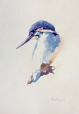Kingfisher,Birds, Watercolor artwork, Handmade, Original painting on paper
