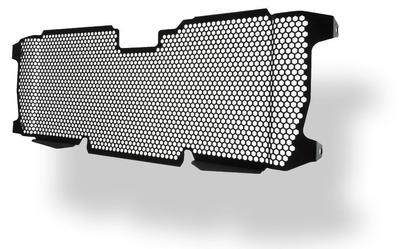 BMW R1250 R/Sport/Exclusive Radiator Guard 2019 onwards by Evotech Performance