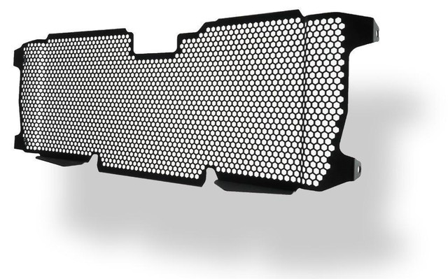 BMW R1200r LC Radiator Guard 2015 Onwards EVOTECH Performance for sale ...