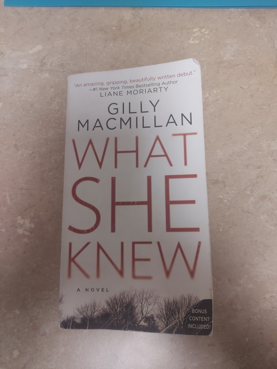 What She Knew : A Novel by Gilly Macmillan (2018, Mass Market)