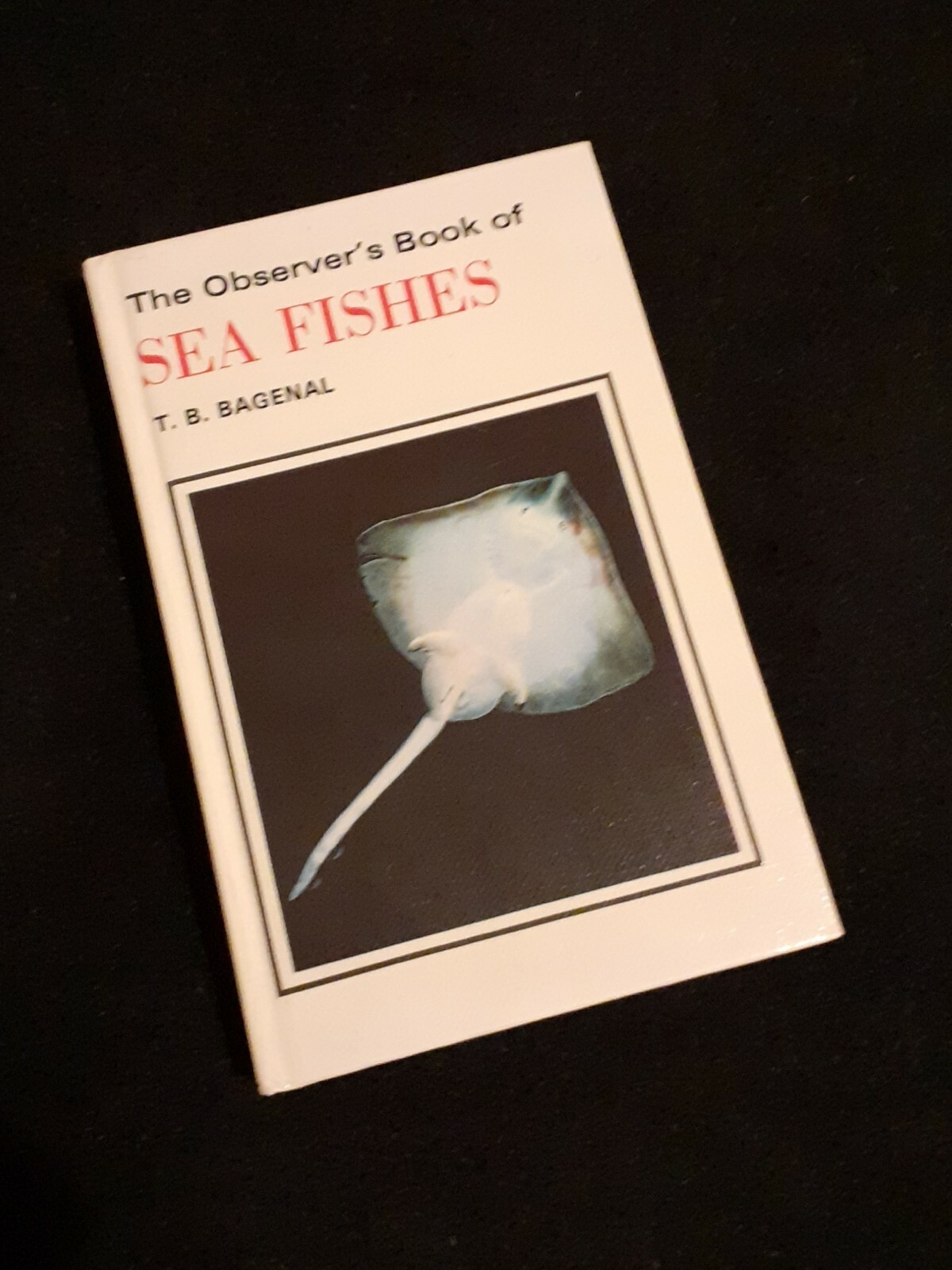 The Observer's Book of Sea Fishes by Albert Laurence Wells (Hardback, 1979)