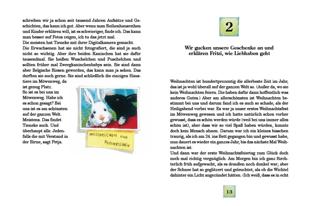 Thumbnail - Ein Neues Jahr Möwenweg | Kirsten Boie | 2008 | Deutsch