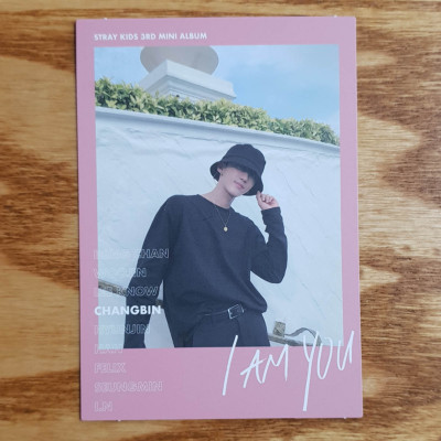 Stray Kids Changbin ポラロイド チェキ i am you s-l400.jpg