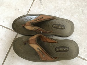 sperry men's pensacola thong sandals