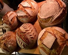 San Francisco SOURDOUGH STARTER 233yo yeast, family heirloom, VERY STRONG