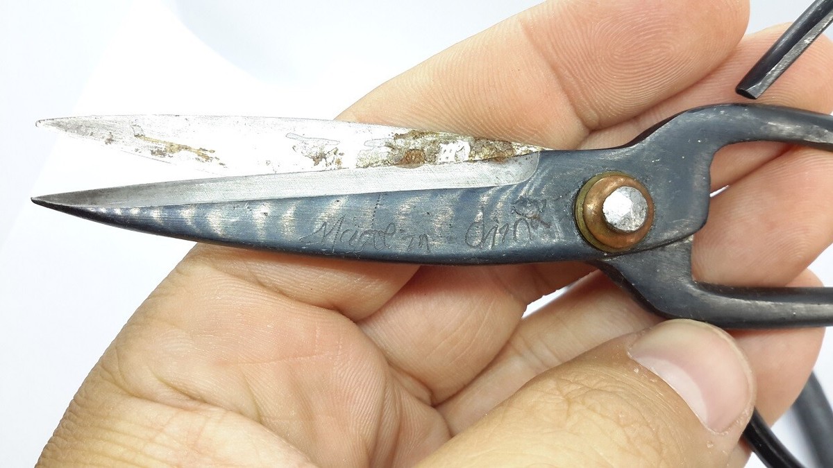 Carved Dragon Metal Handle Bonsai Scissors - Gold Tone, Stainless Steel Blade, 126mm Total Length, For Craft & Sewing - View #3