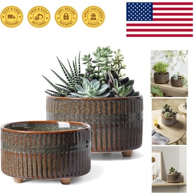 Stylish 6.5 & 8 Inch Ceramic Succulent Pots with Footed Design for Indoor Use
