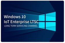 Windows 10 IoT Enterprise LTSC 2021 Valid Microsoft Key - Single USB Device