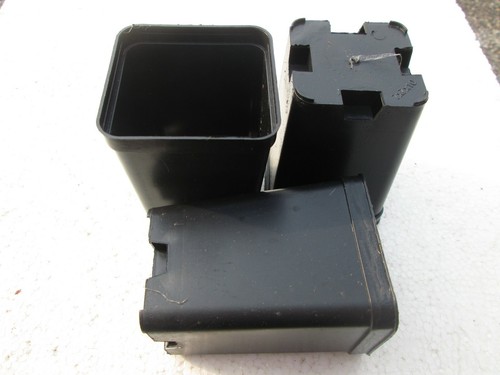 10x VASI PLASTICA QUADRATI cm 7x7x10 L 0,50 - PIANTE CARNIVORE ITALIA - 10 VASI - Imagen 4 de 5