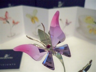 SWAROVSKI AMARA FUCHSIA RAIN BUTTERFLY 0861937 VERY RARE BNIB COA