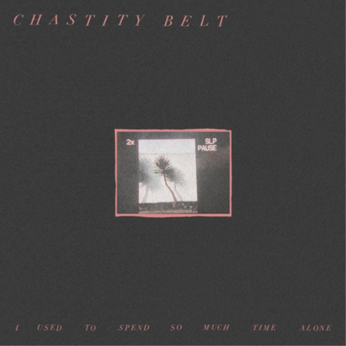 Chastity Belt I Used to Spend So Much Time Alone (Vinyl LP) 12" Album