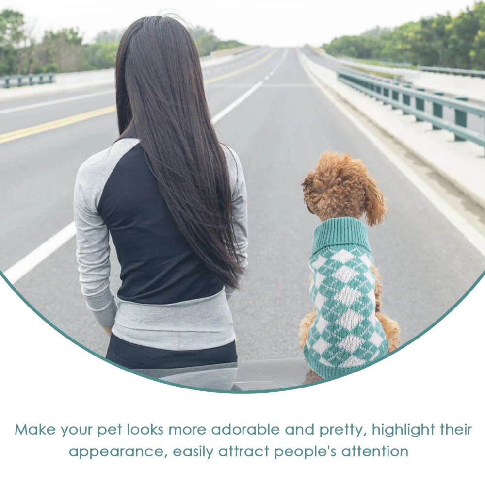 VETEMENTS Felpa con cappuccio per cani maglione per cuccioli vestiti per gatti vestiti per gatti cane