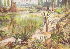 MESOZOIC Prehistoric Color LANDSCAPE Scene by Z. Burian. 1963 V Fine Art Print