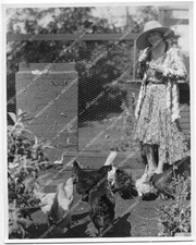 o13040 1920's orig photo opera singer Mary Lewis feeding chickens at Brentwood H
