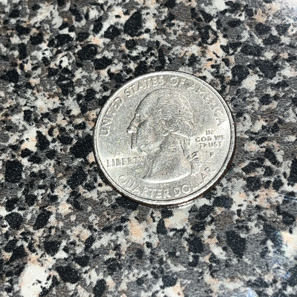 2001 north carolina Silver P - Image 3 of 4