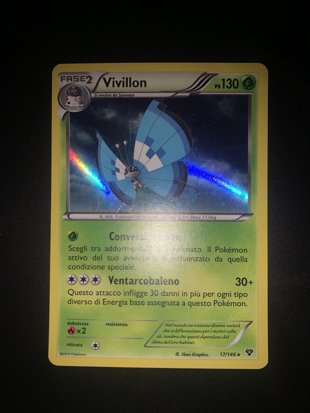 Pokémon Carta Vivillon XY Holo Ita Italiano 17/146 Blue Wings Rare