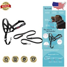 Black Dog Head Collar  Training Leash Combo - No Pull Control