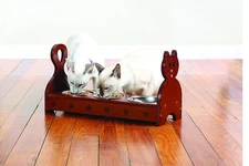 Wood Multi Cat Feeder (Brown)