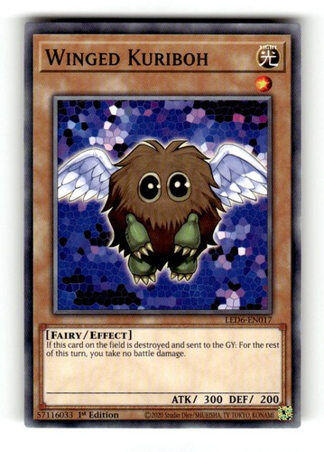 Winged Kuriboh [1st Edition] LED6-EN017 card