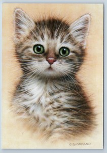 cute cat eyes
