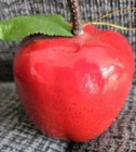Bild 5 von 10