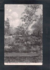 D9999 Australia SA Adelaide Botanic Gardens PU1908 vintage postcard