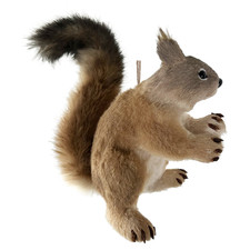 shishi Brown Squirrel Ornament Bauble
