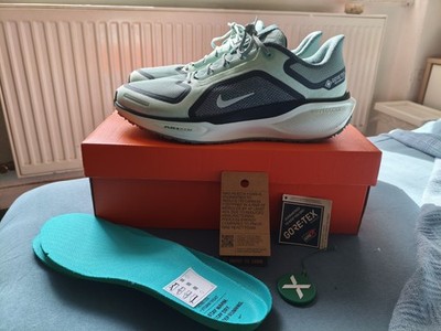 Nike Air Zoom Pegasus 41 GTX Gore-Tex Cannon Barely Green 