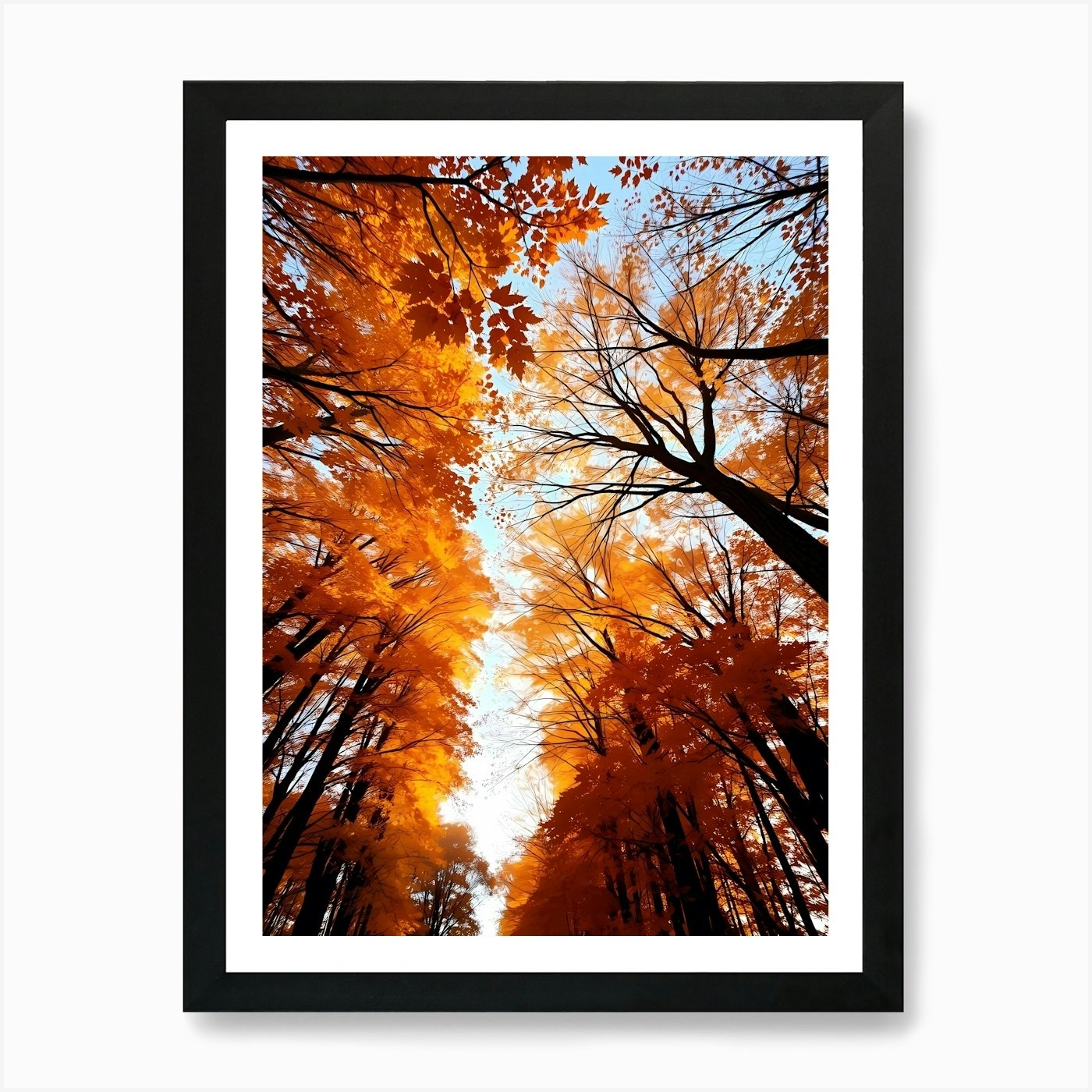 Autumn Forest Trees 2 Framed Wall Art Canvas Print Poster  