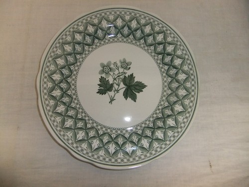 c4 Porcelain Spode Green Geranium (microondas, lavavajillas apto) ÚLTIMOS ARTÍCULOS - R6 - Imagen 11 de 36