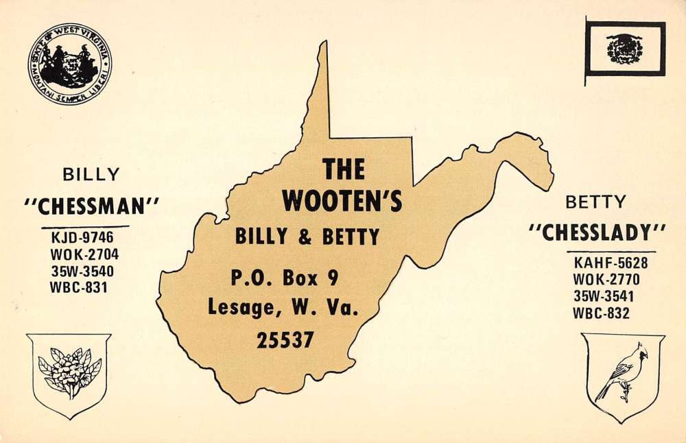 Lesage West Virginia Wootens Radio Advertising Vintage Postcard J44743