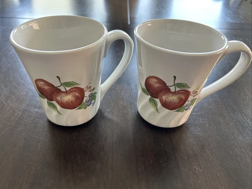 2 CORELLE Coordinates Stoneware Chutney Swirl Coffee Mug Cup Apples Pears