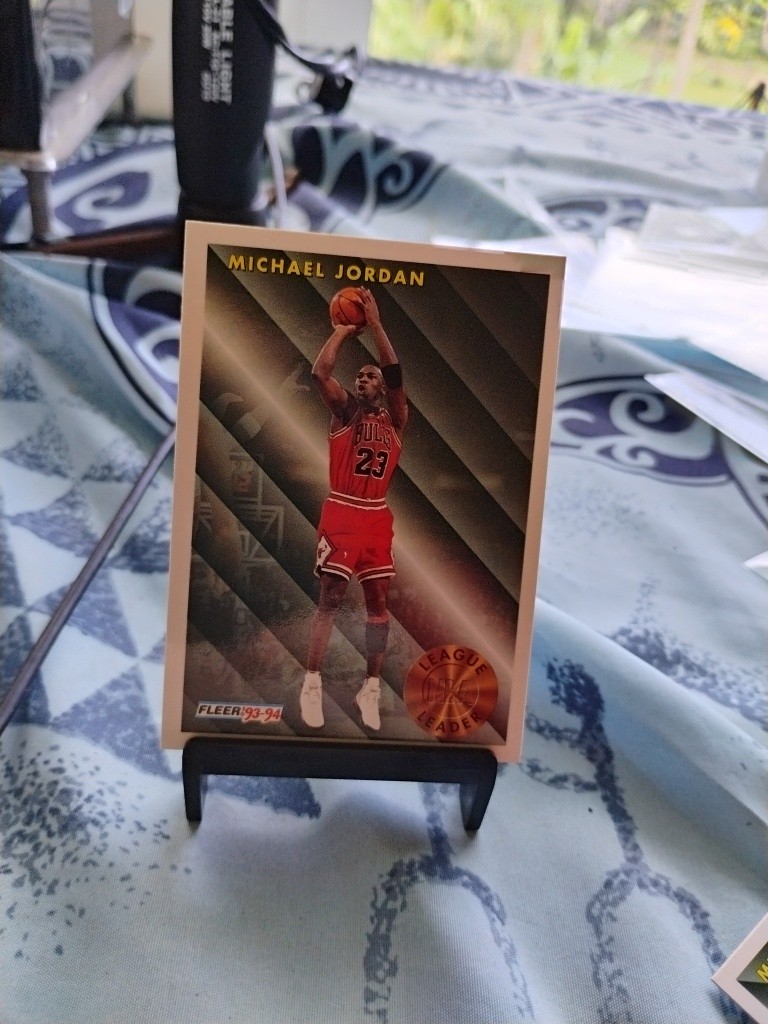1993-94 Fleer - #224 Michael Jordan