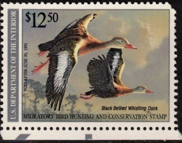 1990 Federal Duck Hunting Stamp, MH, RW57