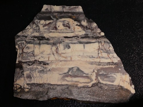 Porzellan Jaspis Platte 5 1/2 x 5 1/4" Cabbing grob--Display-Geologie- - Bild 3 von 3