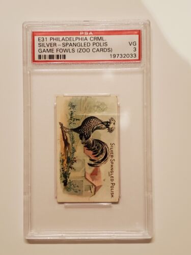 E31 Philadelphia, Zoo Cards, Game Fowl, 1907, Silver Spangled Polis, PSA 3 VG - Picture 1 of 2