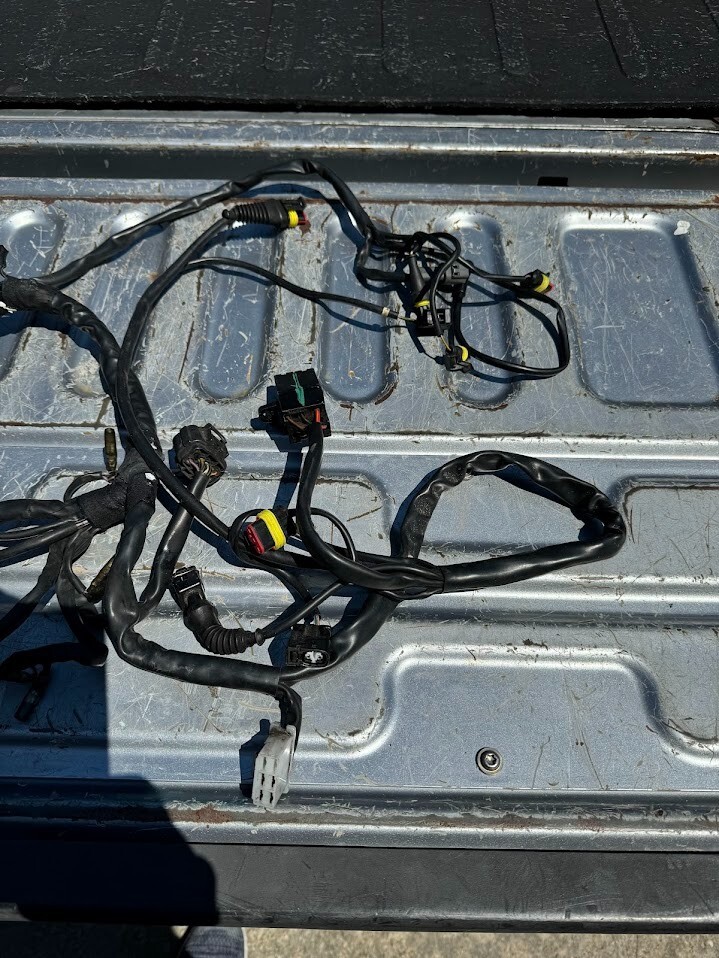 Picture 4 of 5