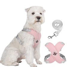 Dog Harness Pet X Frame No Pull Step-in Harnesses with Leash Set, Adjustable ...