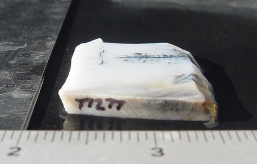 Losa lapidaria de sílex dendrítico a rayas T1277 - Imagen 4 de 10