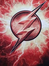 Justice League The Flash Logo T-shirt Youth Medium 8 