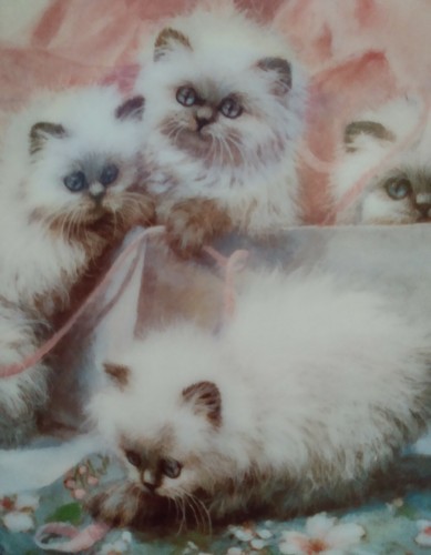 "All Wrapped Up: Himalayans" Collector Plate 6th Issue Cat Tales Collection - Picture 2 of 3