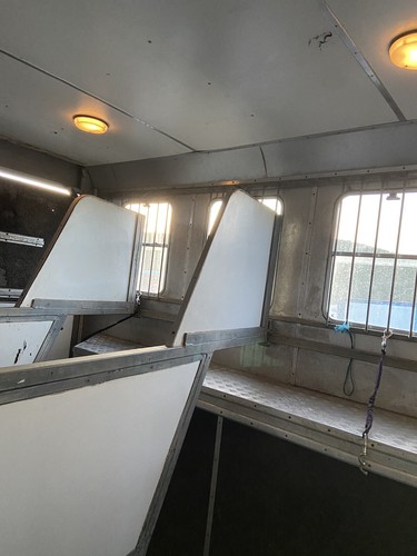 leyland daf horsebox - Picture 8 of 10