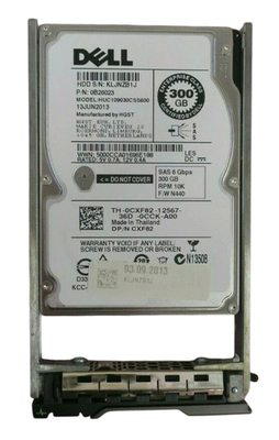 Dell 300GB SAS 10k 2.5