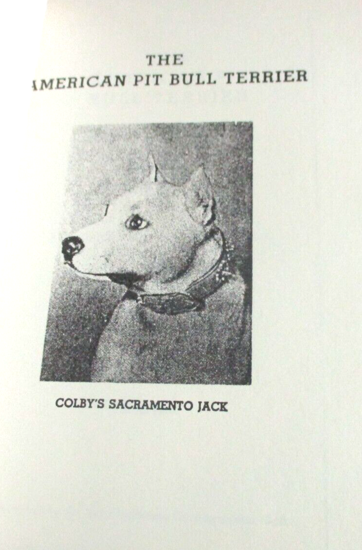 John P Real Colby Pitbull Breeders The American Pit Bull Terrier