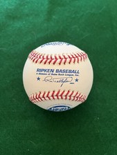 A Look Back: This Is How Babe Ruth League Baseball Found A Home On Staten Island