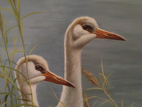 "Sandhill Cranes" by Luyuan Qing 24x36 Shorebirds Original Oil/Canvas - Picture 2 of 6